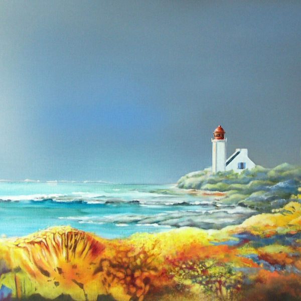 Genets à la Pointe des Chats